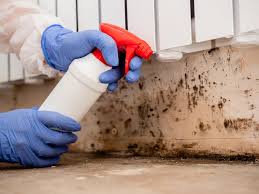 Best Mold Removal for HVAC Installations  in Peshtigo, WI